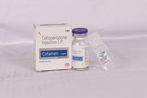 CEFAMEN 1GM (Copy)